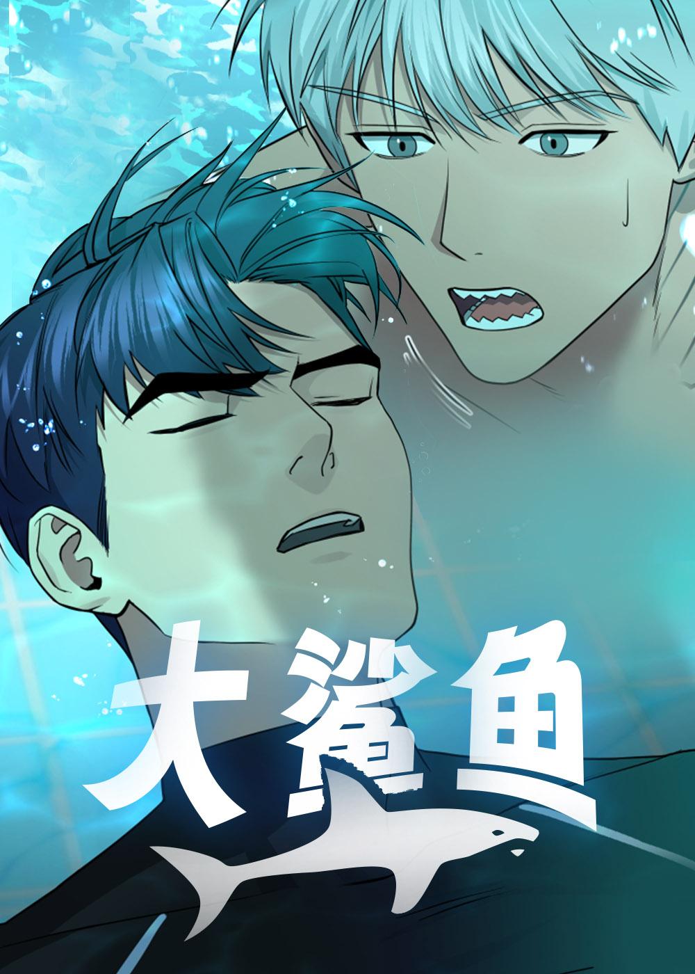 大鲨鱼封面