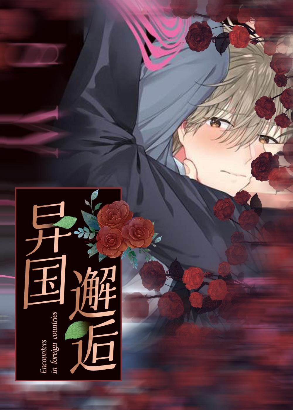 异国邂逅漫画封面