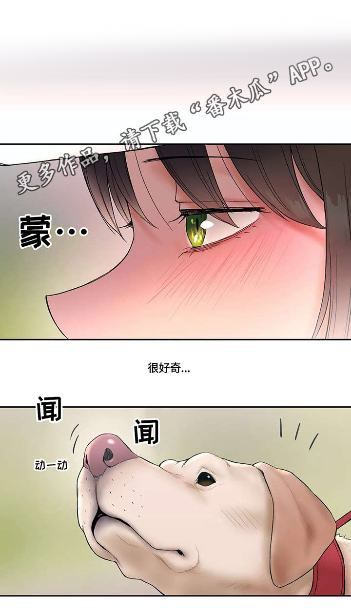 第17话：第17章：扑上来预览分镜