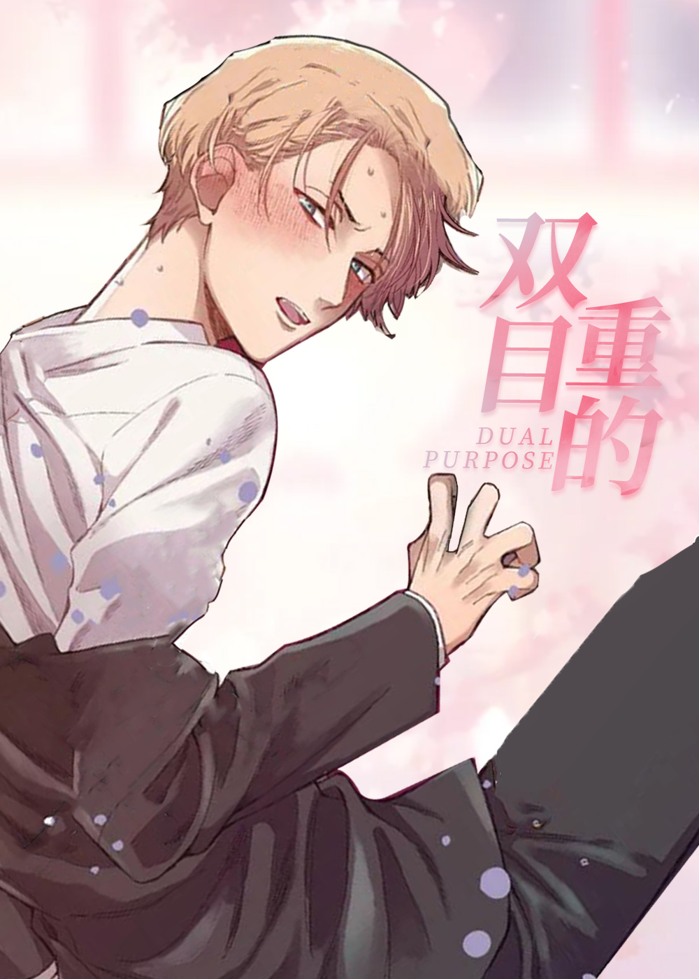 双重目的封面