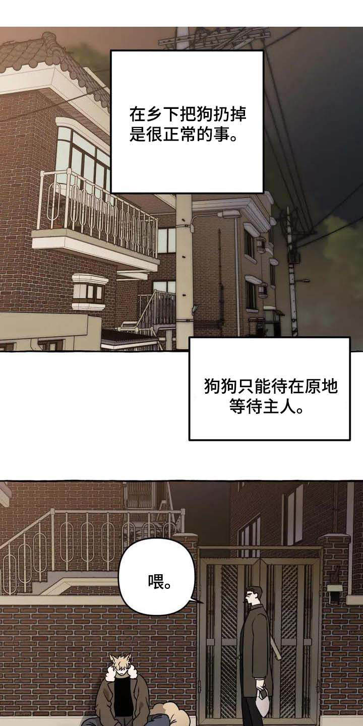 第1话：第1章：流浪狗预览分镜