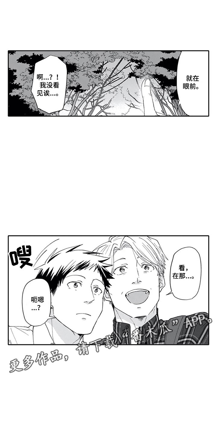 第7话：第7章：观察预览分镜
