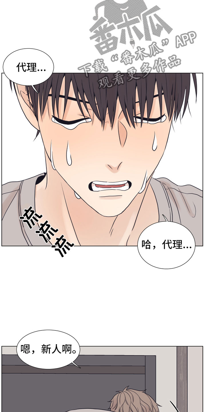 第12话：第12章：奥秘预览分镜