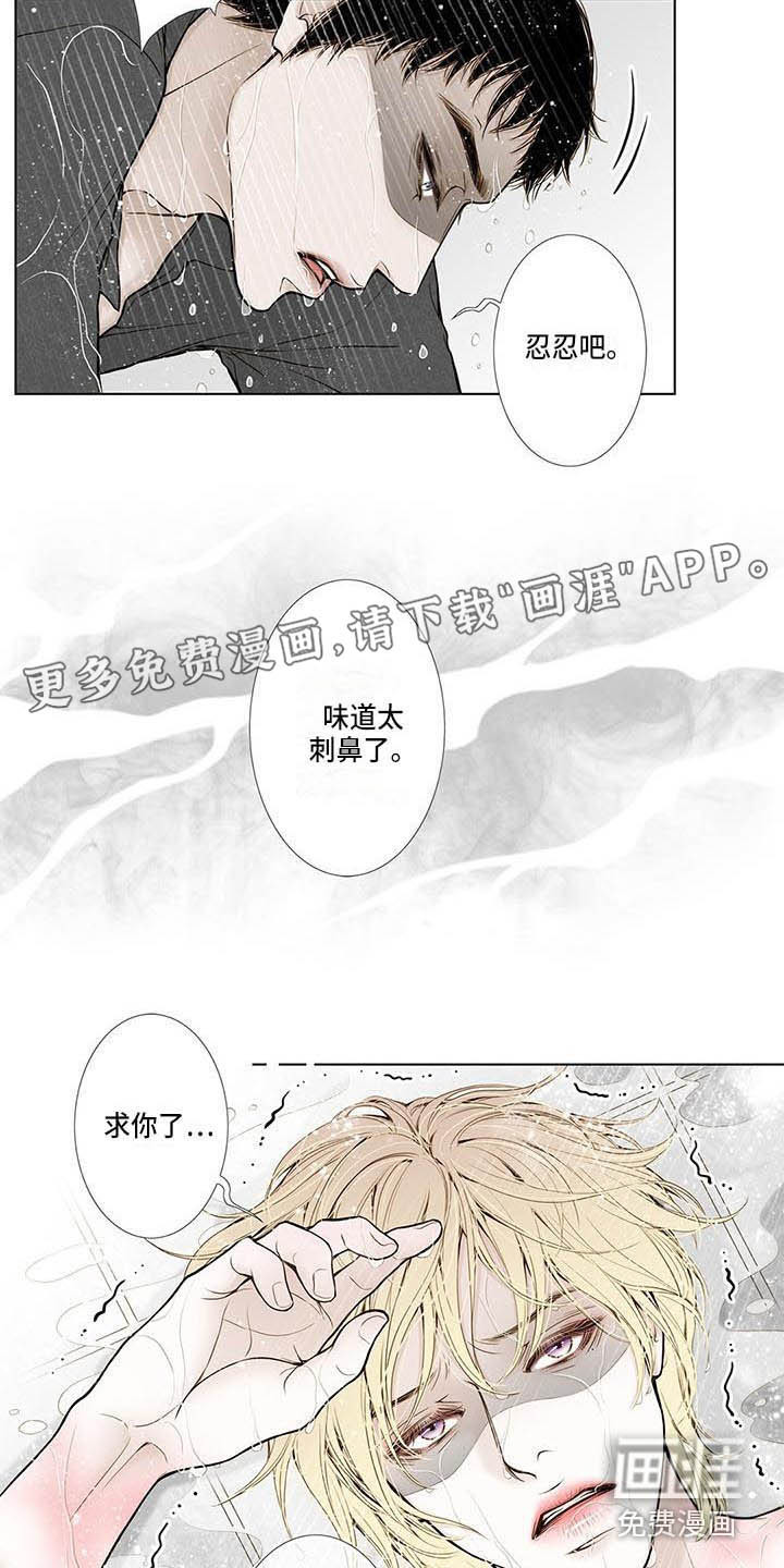 第13话：第13章：不会放过你预览分镜