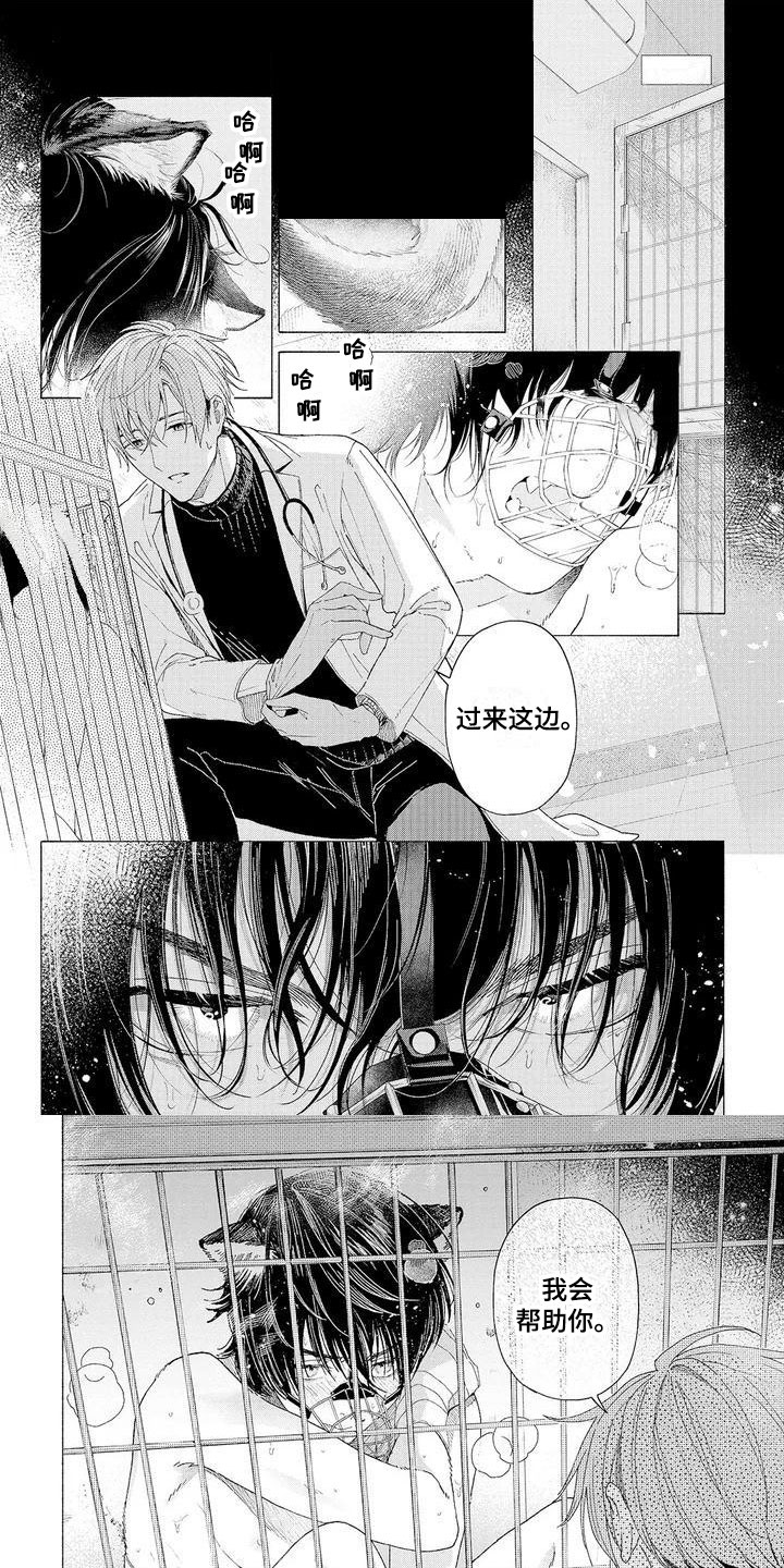 第1话：第1章：可爱的狼人预览分镜
