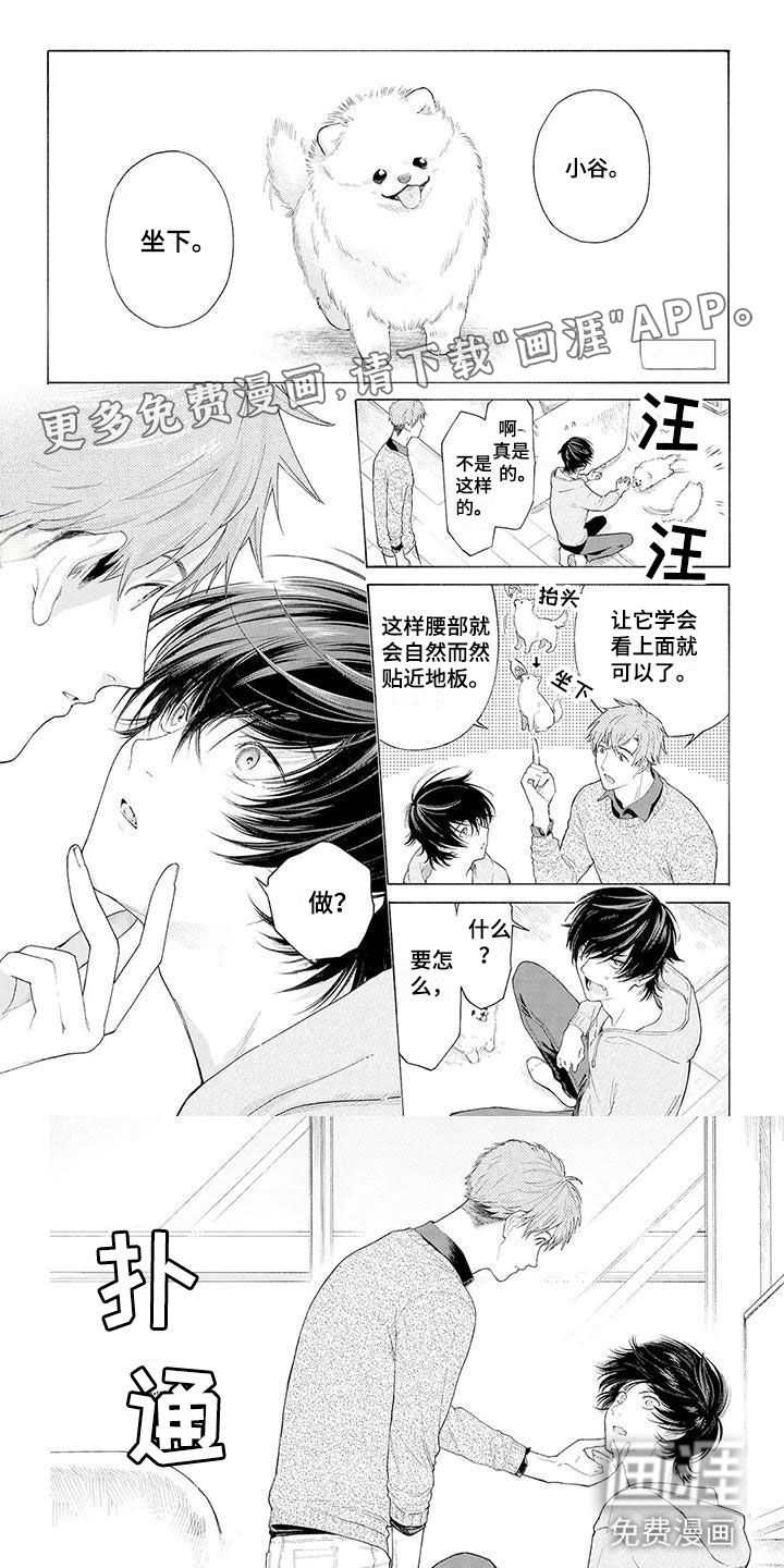 第4话：第4章：看门犬预览分镜