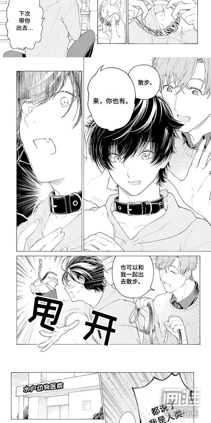 第4话：第4章：看门犬预览分镜
