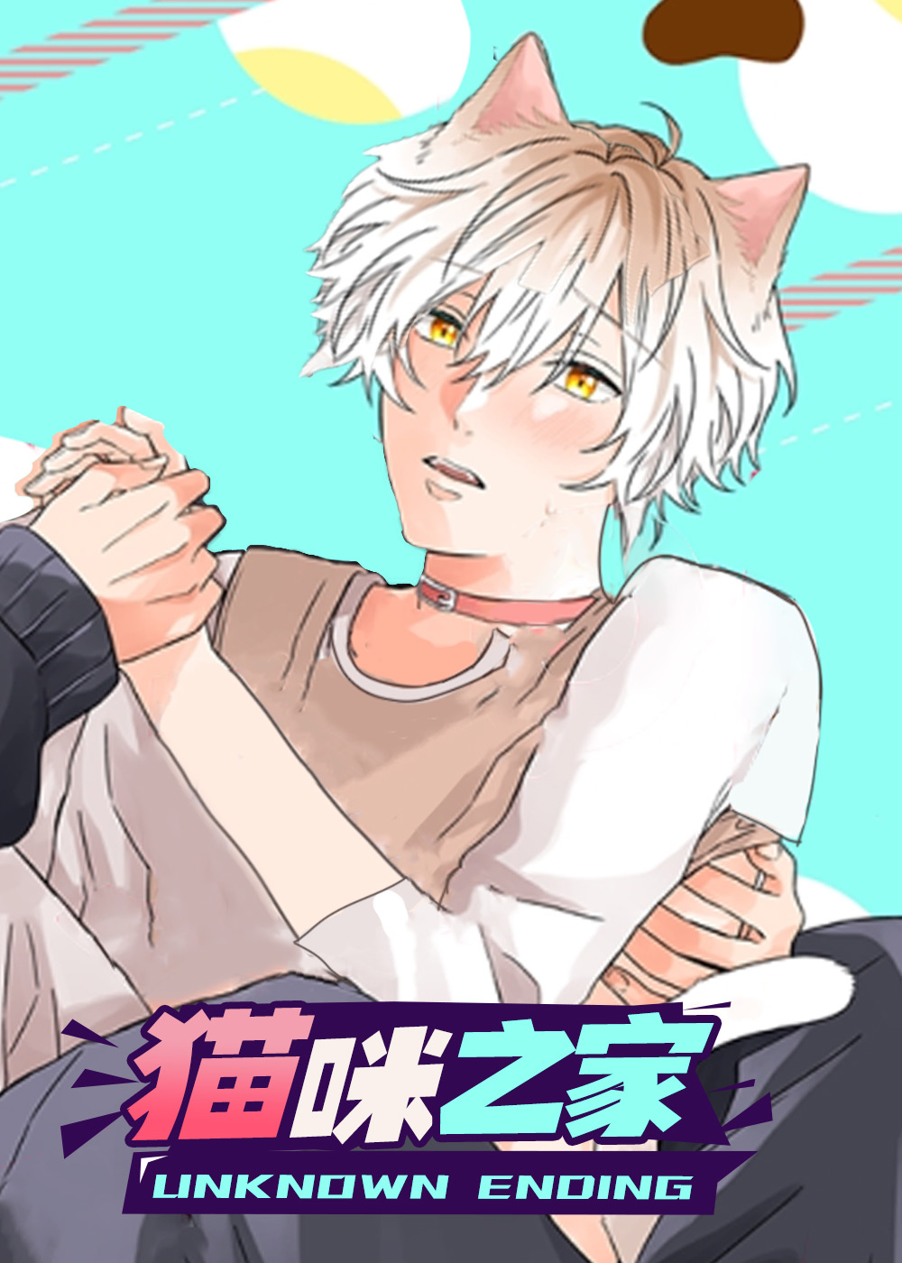 猫咪之家封面