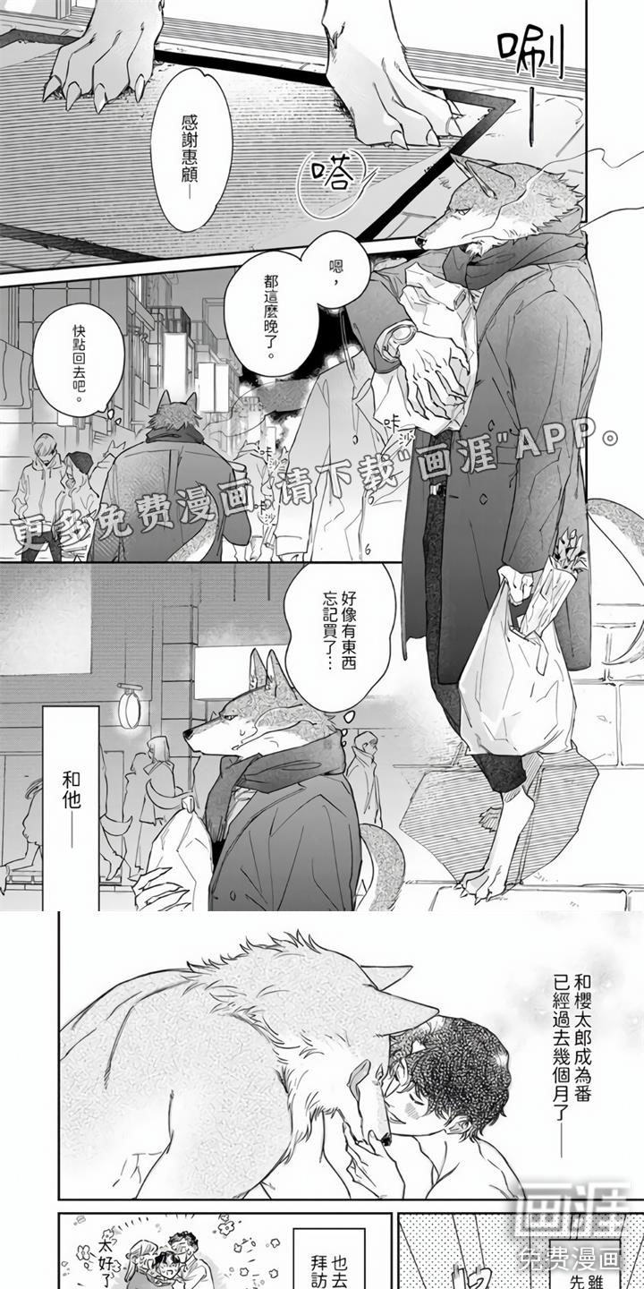 第13话：第13章：更加爱你预览分镜