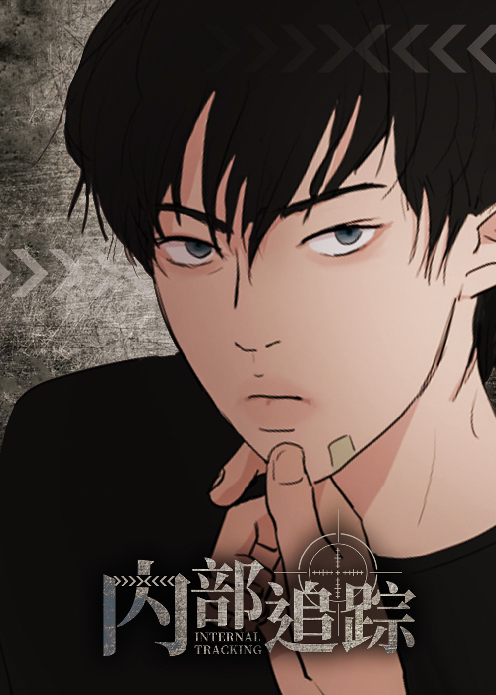 内部追踪封面