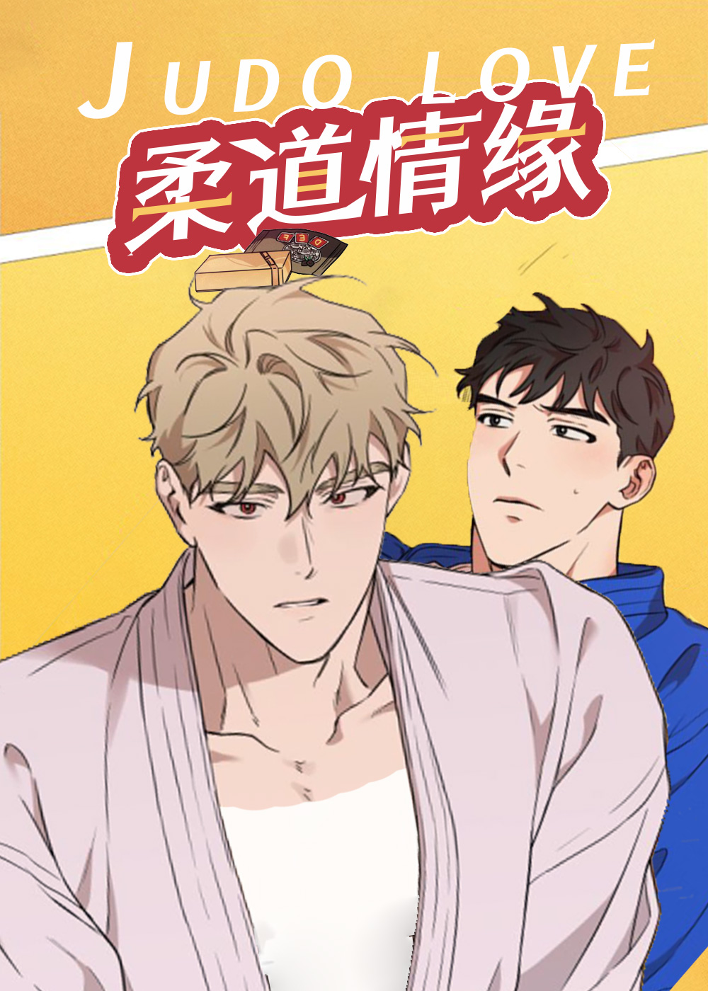 柔道情缘封面