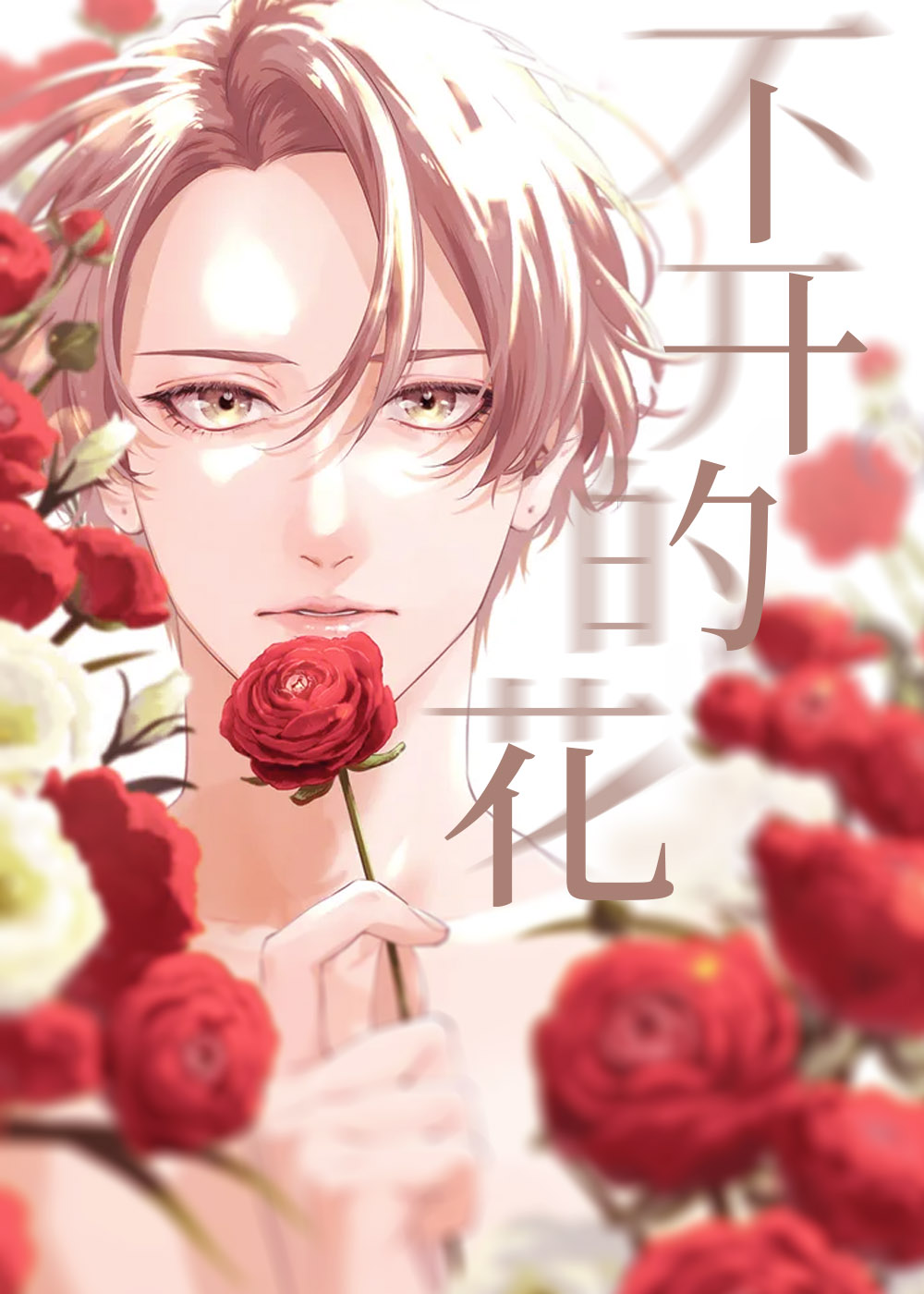 不会开的花封面
