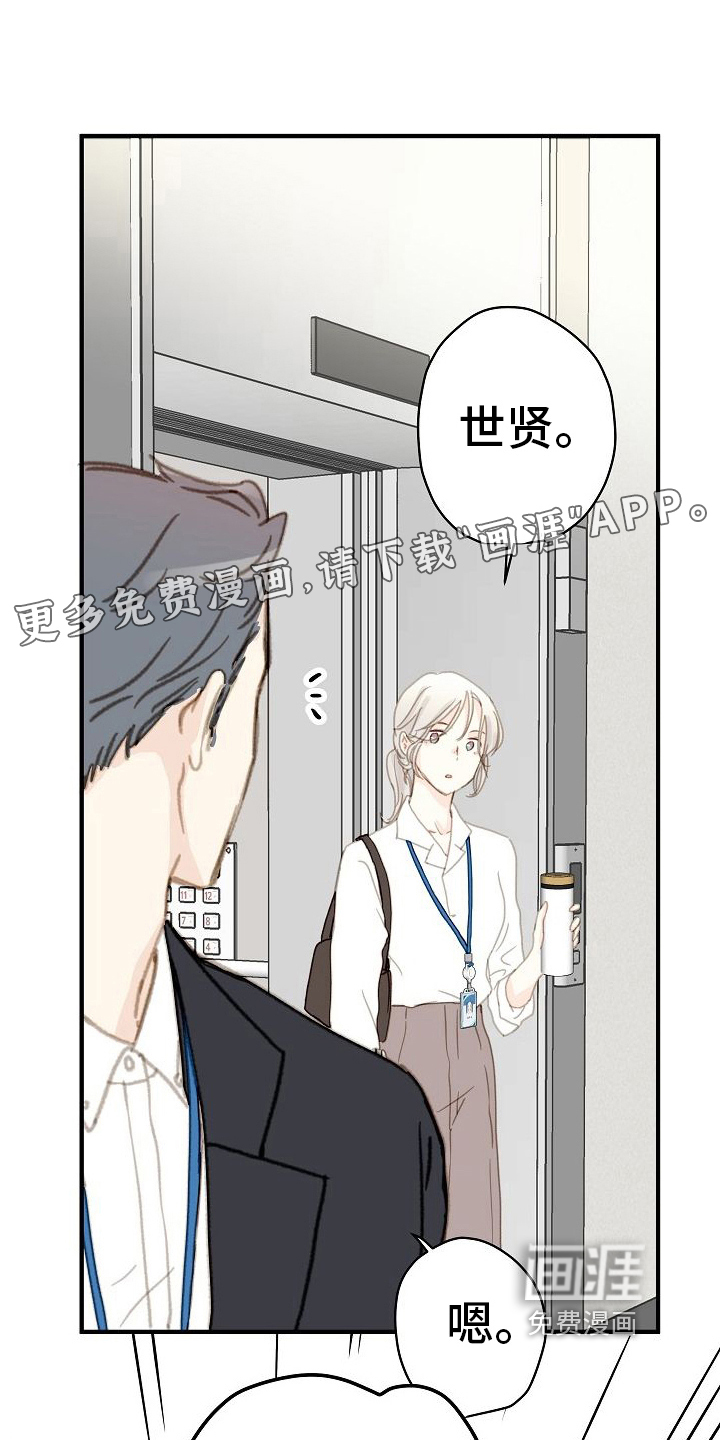第6话：第6章：秘密预览分镜