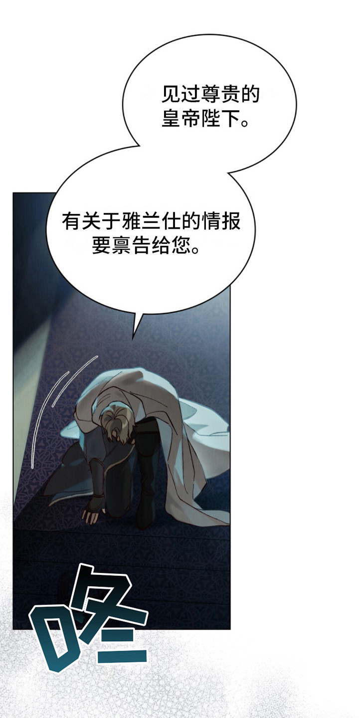 第15话：汇报预览分镜