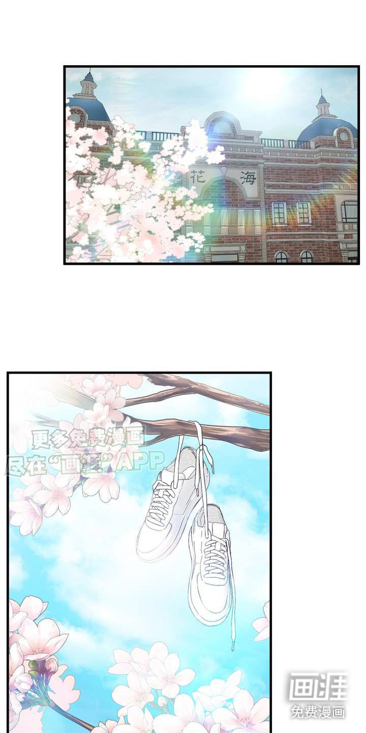 第1话：第1章：讨厌他预览分镜