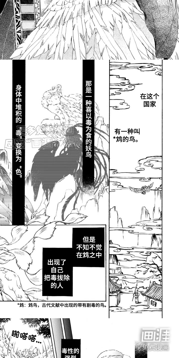 第1话：第1章：鸠鸟预览分镜