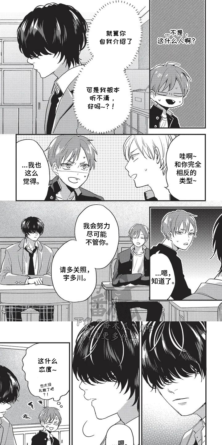 第2话：第2章：条件预览分镜