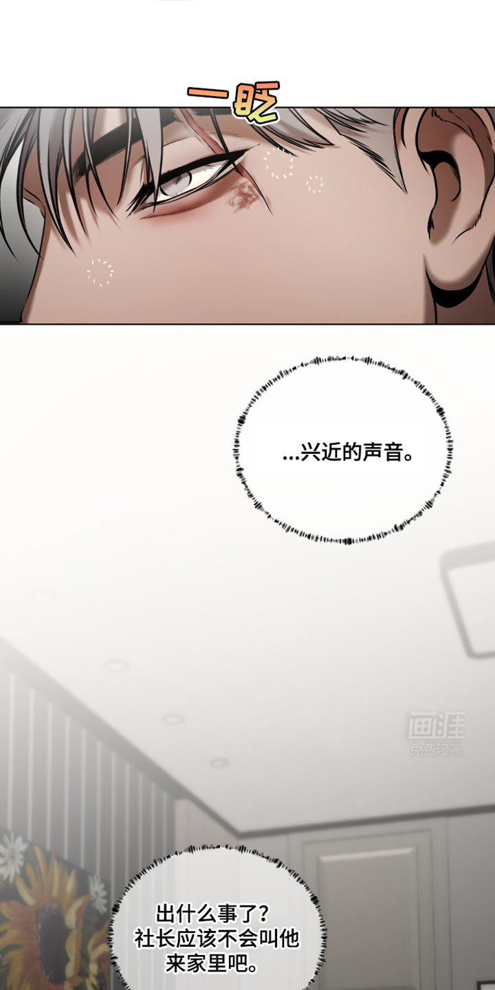 第15话：第15章：所以我才喜欢哥【完结】预览分镜