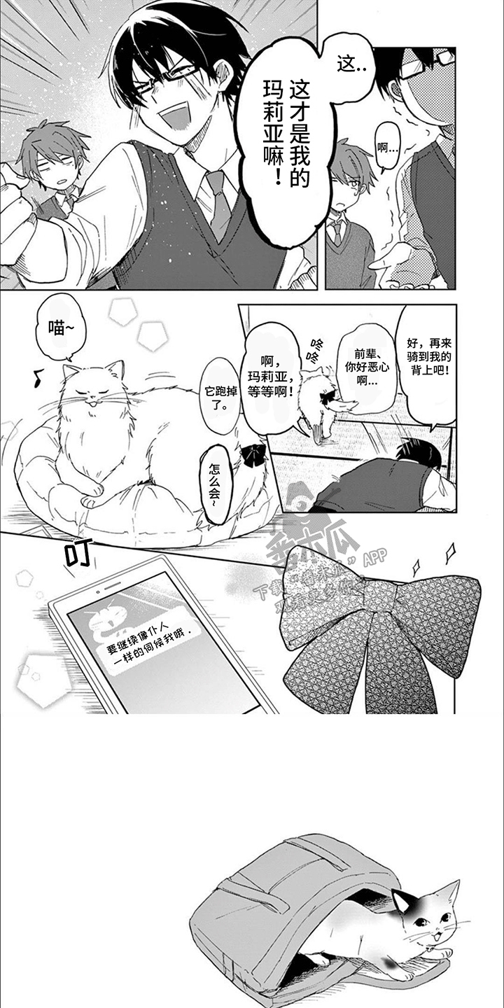 第8话：第8章：猫猫特工预览分镜