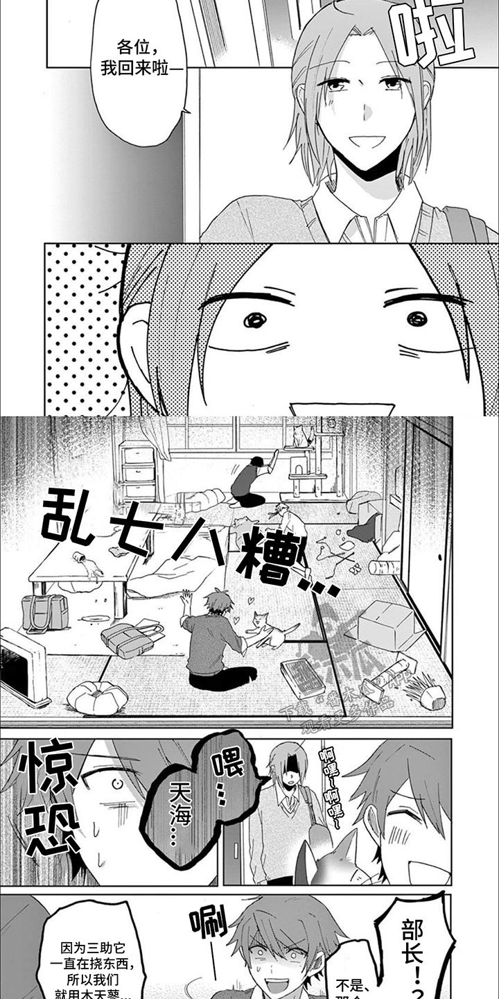 第17话：第17章：猫猫社危机预览分镜