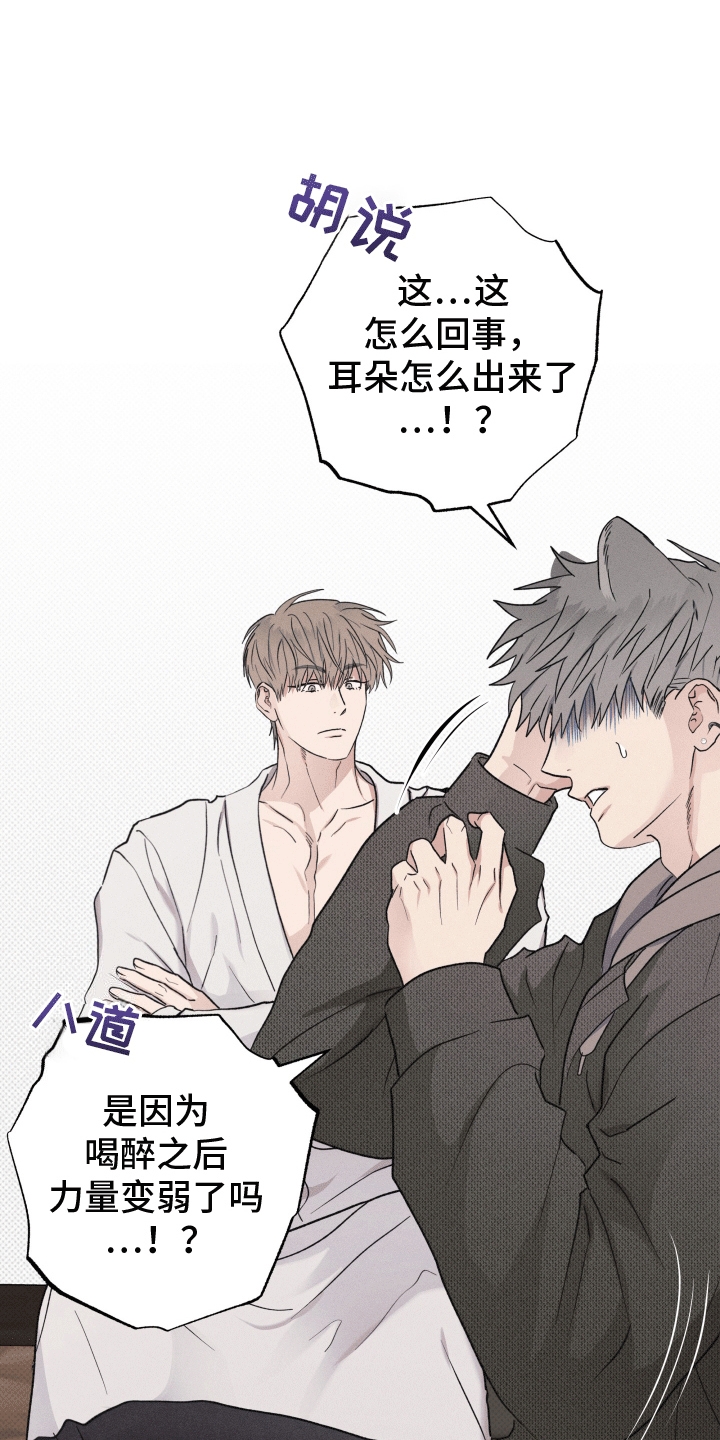 第4话：第4章：请求预览分镜