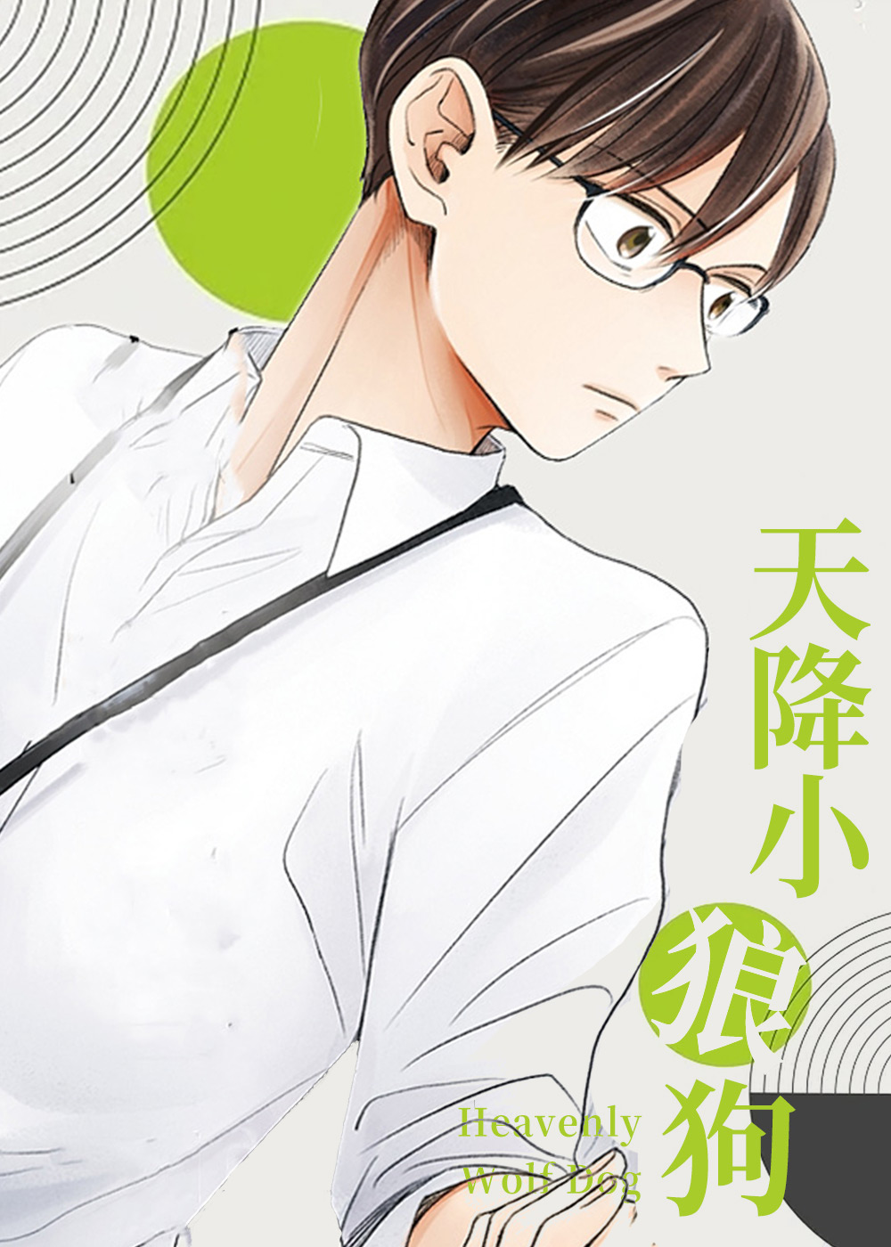 天降小狼狗封面