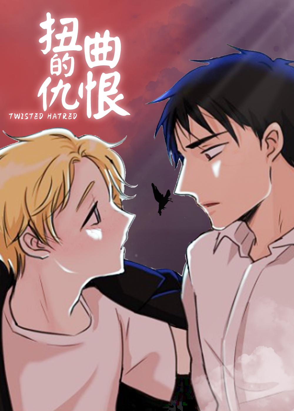 扭曲的仇恨封面