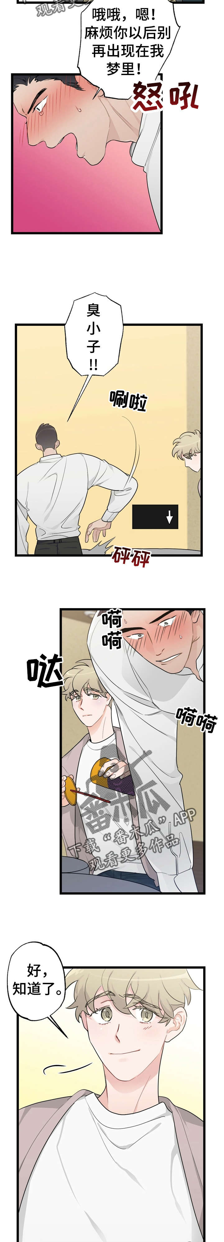 第18话：第18章：少年时代的梦境：烦死了预览分镜