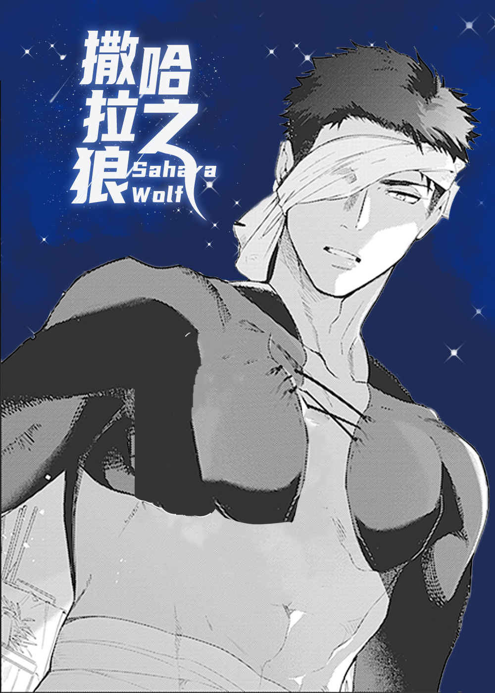 撒哈拉之狼封面