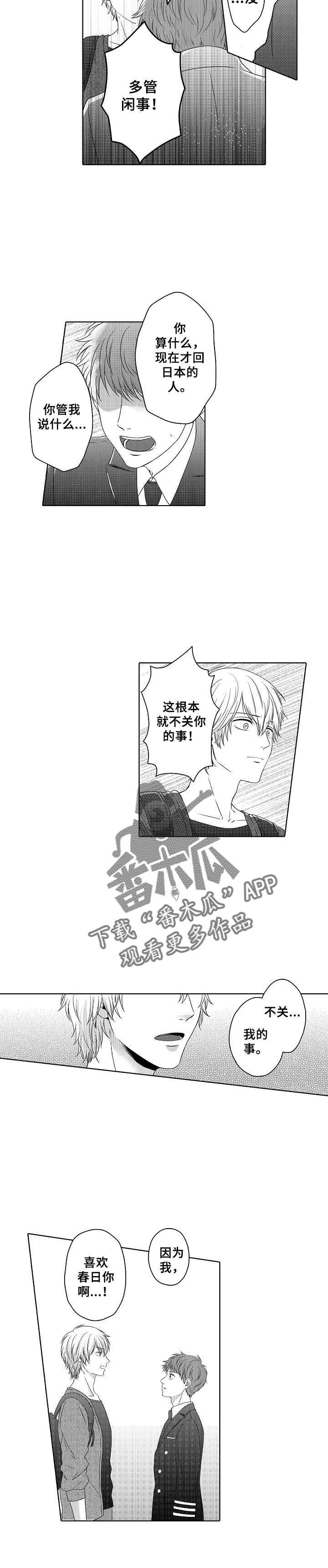 第4话：第4章：喜欢你预览分镜