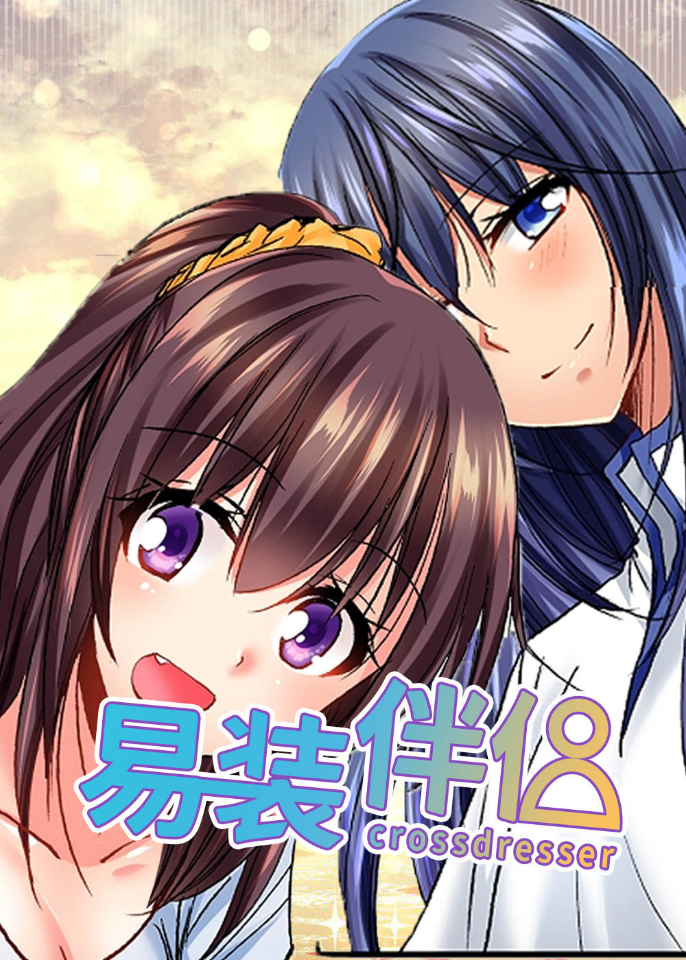 异装伴侣封面