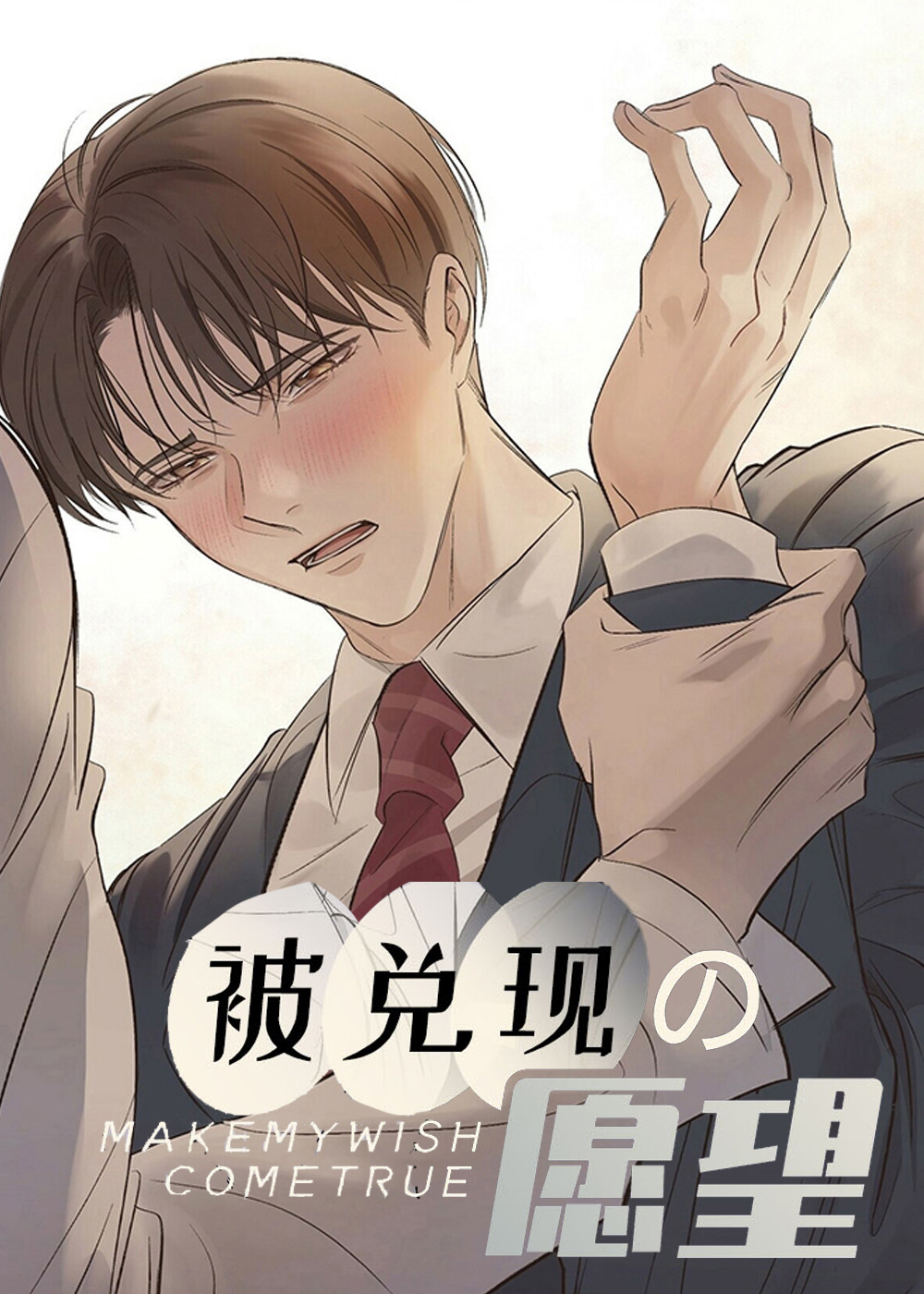被兑现的愿望封面
