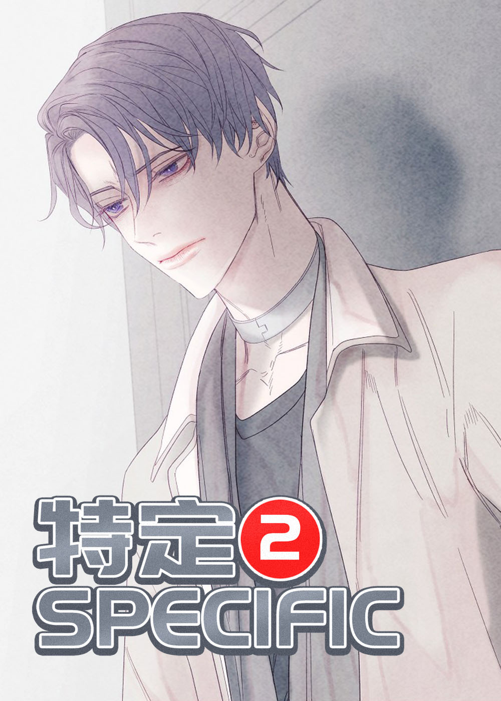 特定2封面
