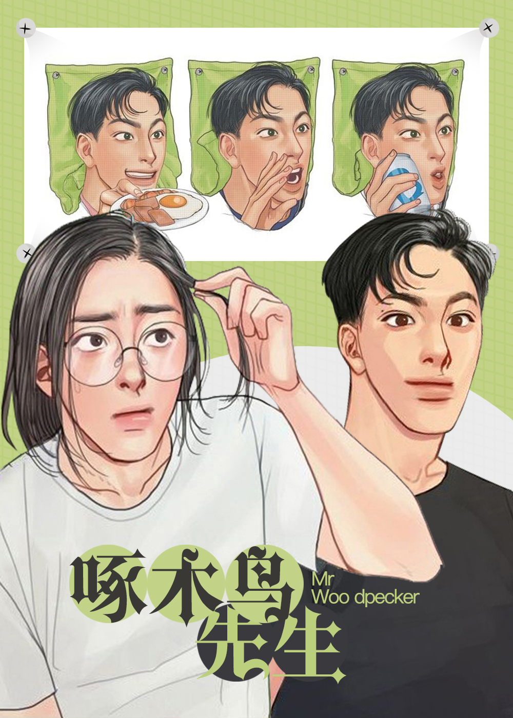 啄木鸟先生封面
