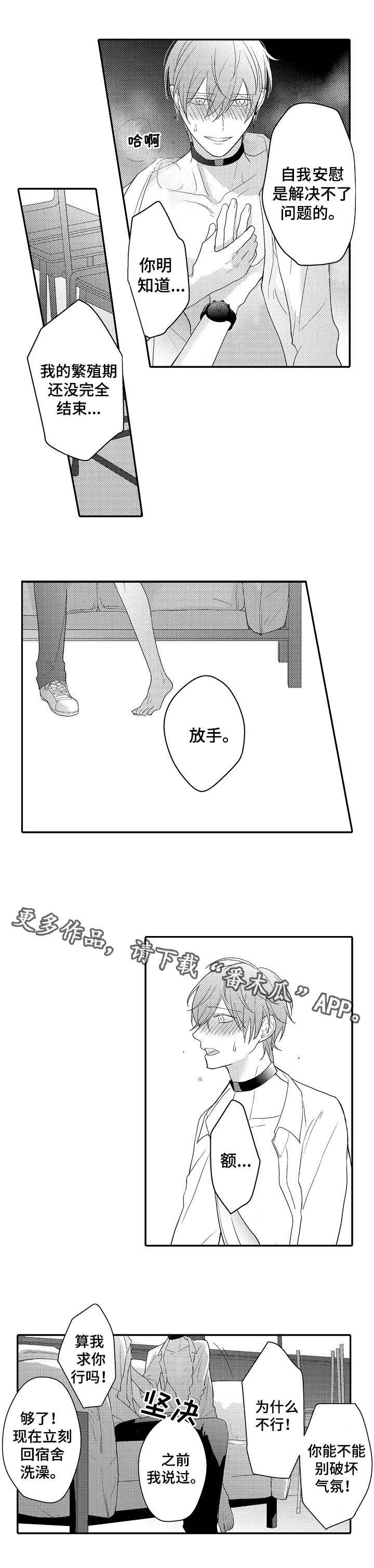 第10话：第10章：真心预览分镜
