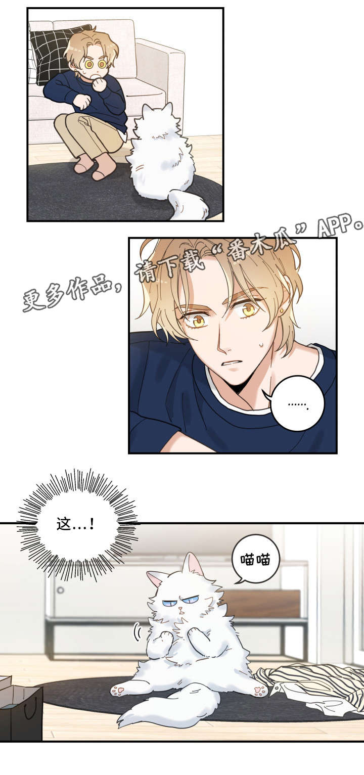 第10话：第10章：负责到底预览分镜